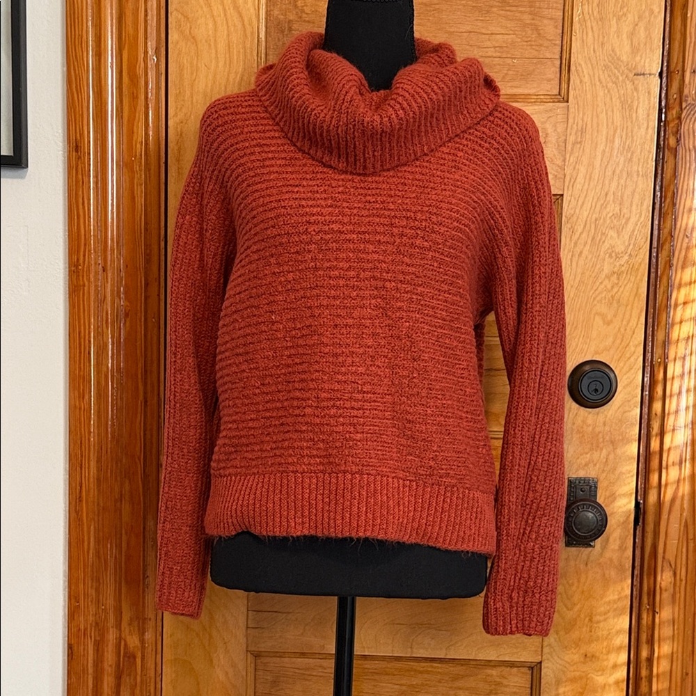 Elegant Brick Red Cowl Neck Sweater